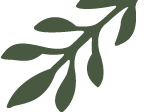 Quetzal